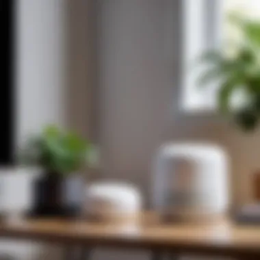 Notable A Comprehensive Review of Google Nest Wifi AC1200 Notable A Comprehensive Review of Google Nest Wifi AC1200
