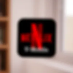 T-Mobile logo with Netflix icons