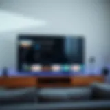 Overview of popular casting apps interface