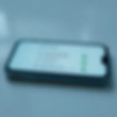 Secure location sharing settings on a smartphone