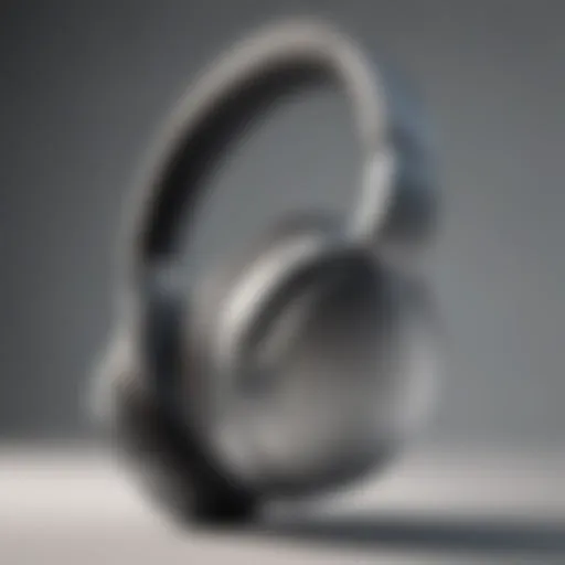 Sleek and stylish Bose headphones