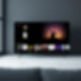 Screenshot of Chrome TV Remote App interface