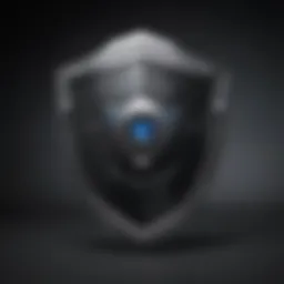 Data Protection Shield