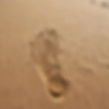 Illustration depicting digital footprints in the sand