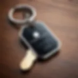 Elegant iPhone Tag for Keys