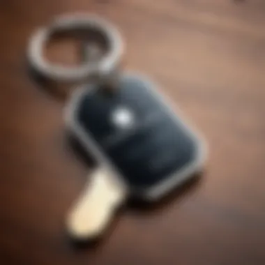 Elegant iPhone Tag for Keys