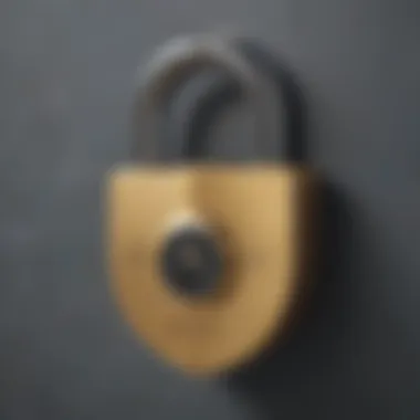 Protect Your Privacy Illustration of a lock symbolizing privacy protection