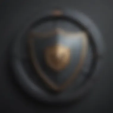 Secure Your Online Experience Illustration of a shield representing online security