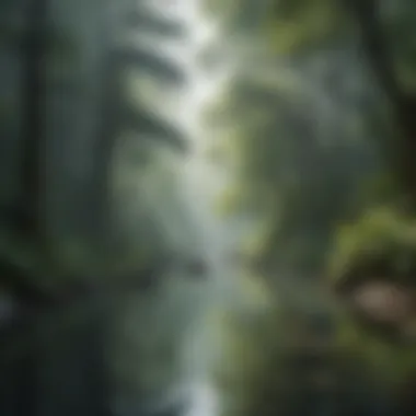 Ethereal Serenity Ethereal Serenity