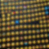 Diverse emoji selection on a smartphone screen