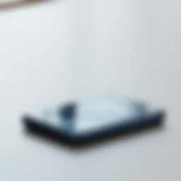 Samsung's flagship smartphone showcasing its large display