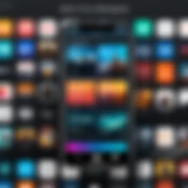 Efficient Music Library Management in Offline Apps Music library management feature screenshot