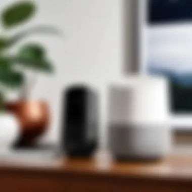 Voice Control Interface of Google Home Voice control interface of Google Home