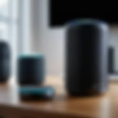 User interacting with a smart speaker