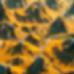 A vibrant landscape created in a world-building game, showcasing intricate details.