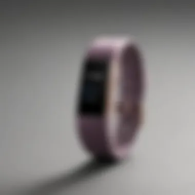 Discount tags on Fitbit gadgets
