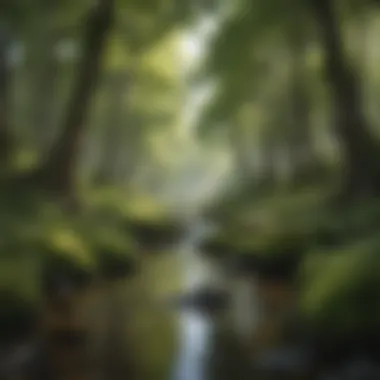 Harmony in Nature
