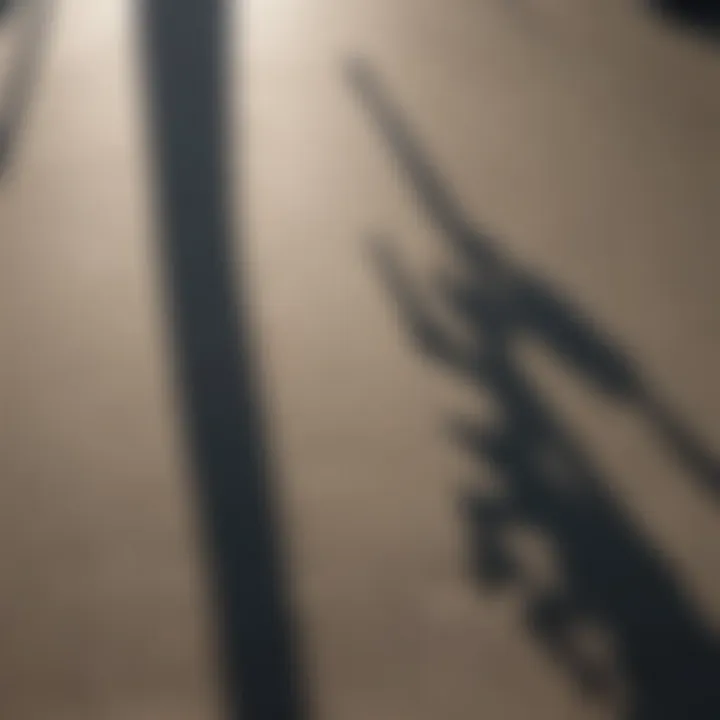 Revealing the Shadows and Highlights