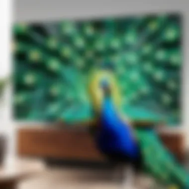 Enjoying Peacock on a Big Screen Enjoying Peacock content on a large screen