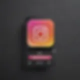 Visual representation of Instagram profile search bar