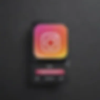 Visual representation of Instagram profile search bar