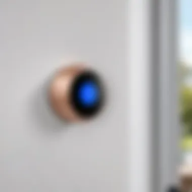 High-Definition Video Quality High-definition video quality capture from the Nest Hello