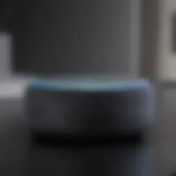 Innovative Technology Echo Dot