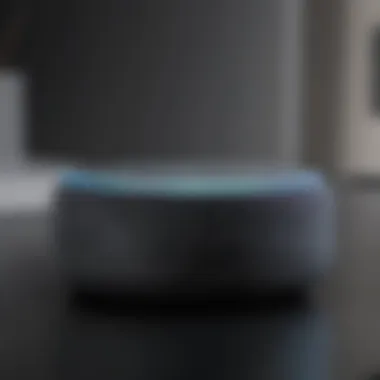 Innovative Technology Echo Dot