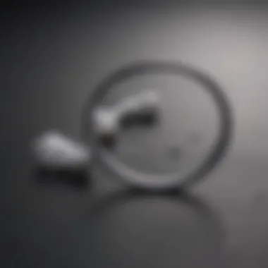 Magnified View of Lost Earbuds Lost Samsung earbuds highlighted with magnifying glass