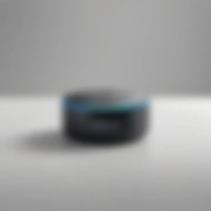 Minimalist Design Echo Dot