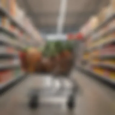 Optimized Shopping Cart Experience Efficient Online Grocery Shopping Cart