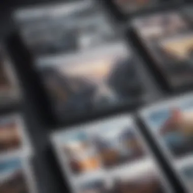 Organized Photo Albums