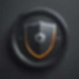 Privacy Shield Icon