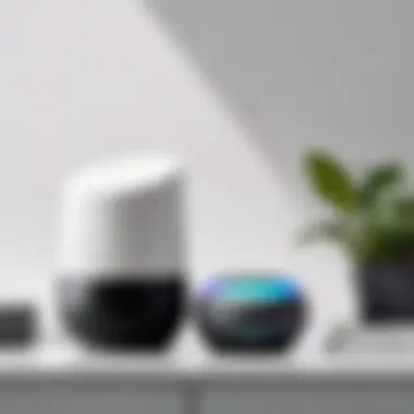 Navigating Google Home App User accessing the Google Home app