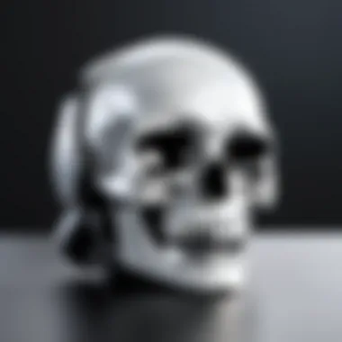 Sleek Design of Skull & Co Bluetooth Adapter Detailed view of the Skull & Co Bluetooth Adapter showcasing its sleek design