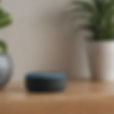 Smart Home Integration Echo Dot