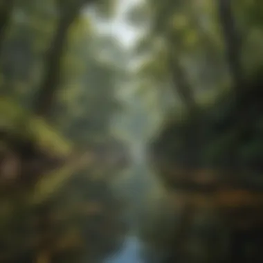 Immersing in the Wonders of Nature Nature and Wildlife Programs on Smithsonian Channel