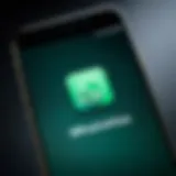 WhatsApp logo on a smartphone screen