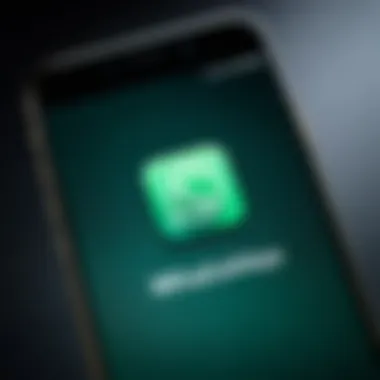 WhatsApp logo on a smartphone screen