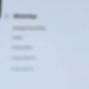 Settings menu of WhatsApp showcasing privacy options