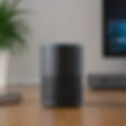 Voice-activated assistant device