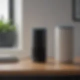 Voice-Activated Assistants