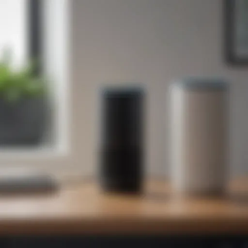 Voice-Activated Assistants