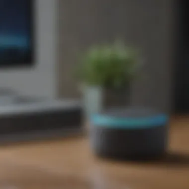 Voice Control Echo Dot